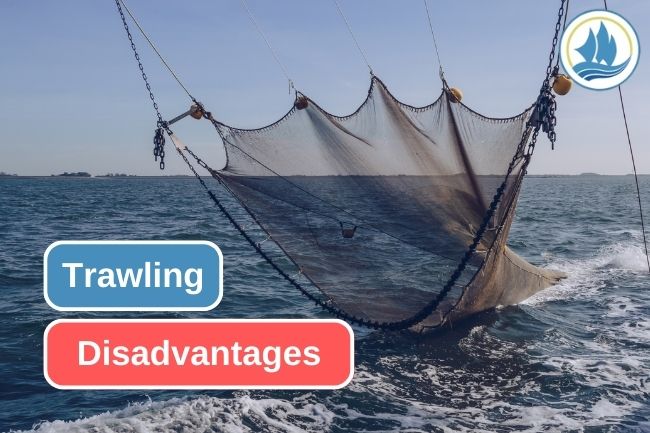 5 Reason to Considerate Using Trawl as Fishing Gear
